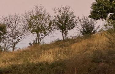 Casa do Outro Mundo - Foto 59