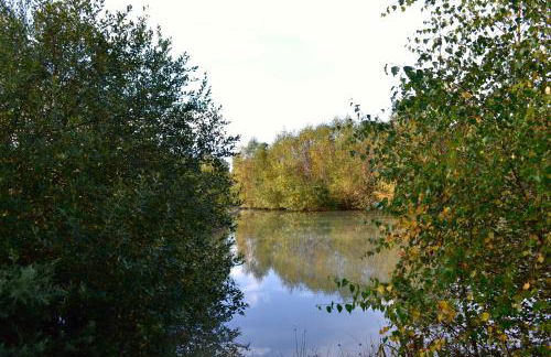 Lakewood retreat - Foto 20