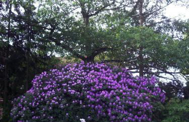 Kleines-Ferienhaus-bei-Lueneburg - Foto 11