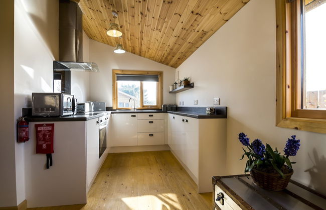 Laurel Lodge - Log Cabin - St Florence - Foto 9