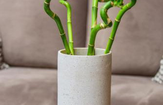 Hotel TwentyFour Living - Foto 8