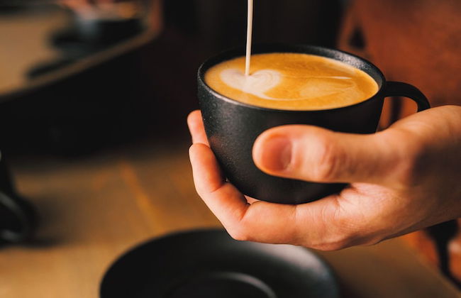 Highland Lodge Fjellandsby - Foto 33