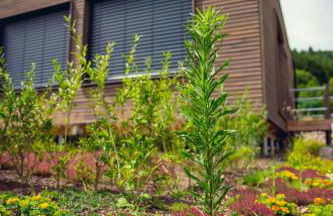 Exklusive Cabins am Rursee inmitten der Natur – mlab relax Eifel - Foto 73