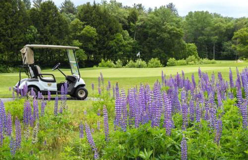 Newton Village 1A - Foto 44