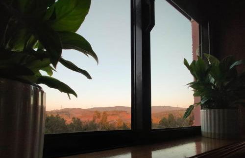 Eucalyptus Pink House - Photo 53