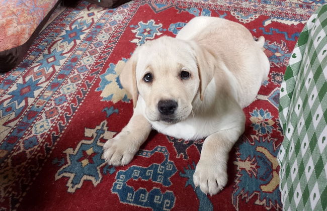 Campo di Cielo - Foto 72