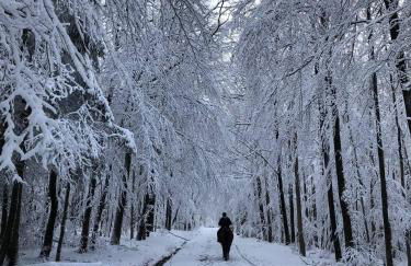 Gut Kalkhäuschen, ein Ort mit Geschichte - Foto 53