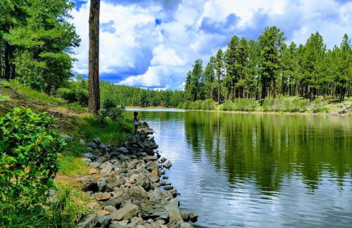 2BR Gated Escape With A Pool And Walk to Dining and Trails - Foto 41