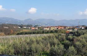 Il brigidino - Foto 9