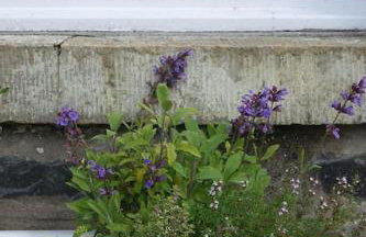 Stylish Scottish Manor, Coillemore House - Foto 24