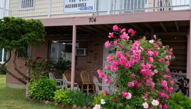 ELIS APARTMENT - Foto 2, Garden view