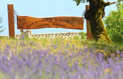 Cominium Benessere - Foto 1