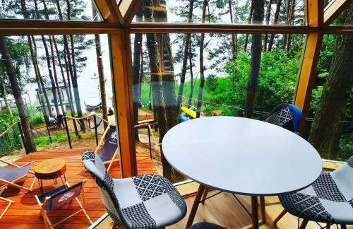 Nad Narvią - Glamp - Foto 8