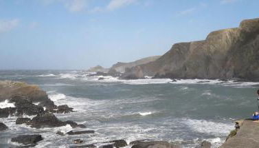 Coastal cottage 'The Garden Cottage ' - Foto 3