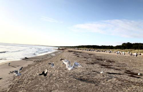 Ferienhaus Kapitänsweg 30 - Foto 19