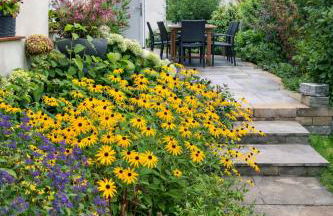 Rast am Park - Foto 15