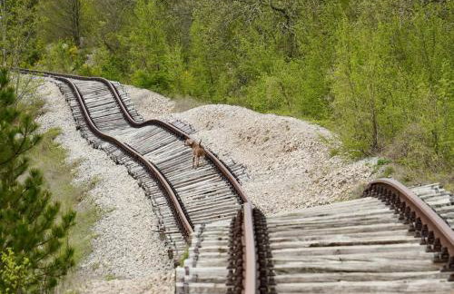 Holiday Home Zvanya by Interhome - Foto 29