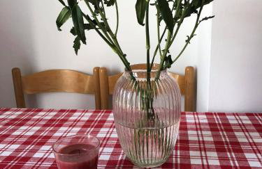 Apartmani Tomelić - Photo 14