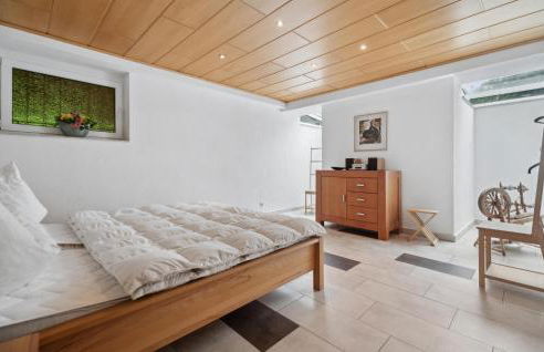 Cozy Home In Bad Brambach With Sauna - Foto 16