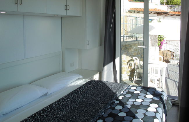 Passiflora (SLR400) - Foto 5