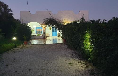 VENTO IN POPPA - Foto 5