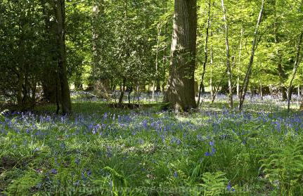 Get-Togethers with function room - Foto 39