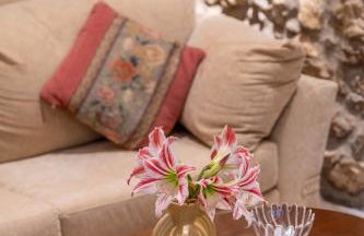 Eftichia's Nomad stone house - Foto 22