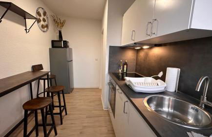 MiCasa TuCasa - 2-R-Apartment Leipziger Neuseenland Vega - Foto 16