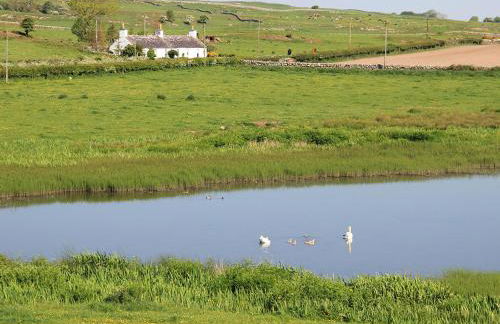 Palmallet Cottage - Foto 25