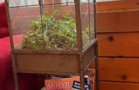 Top of the Line Asheville Mountain Cabin - Foto 3