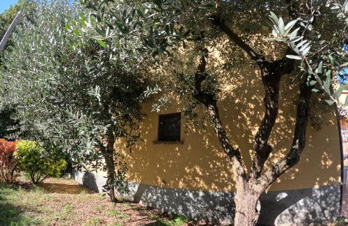 Agriturismo Gardenali - Foto 28