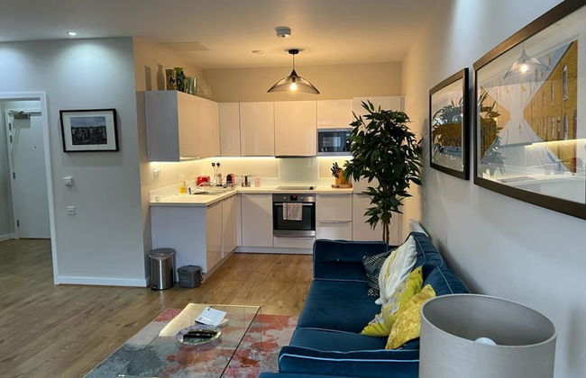 Fantastic Modern 2 Bedroom Flat in Lambeth - Foto 13