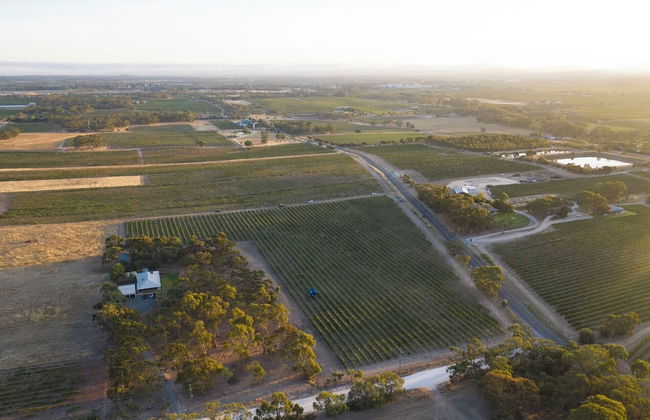 Furche Barossa Vineyard & Fireplace - Photo 22