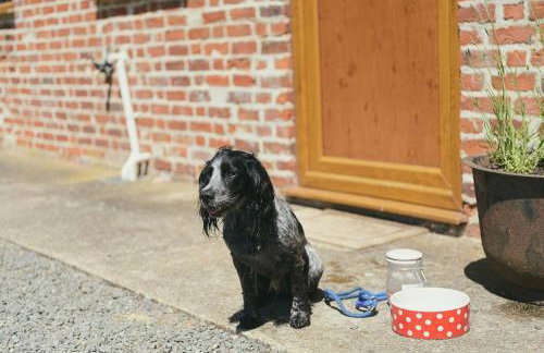 Wood Farm Dairy - Foto 17