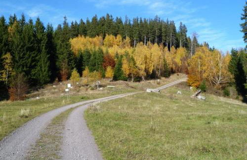 Family Theermann - Foto 14