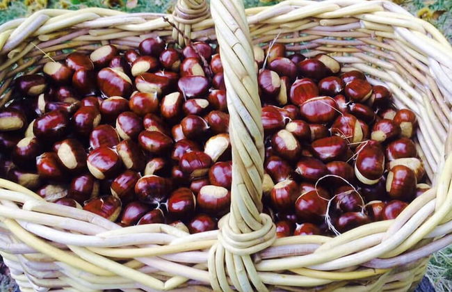 Agriturismo L'Arbo - Foto 17