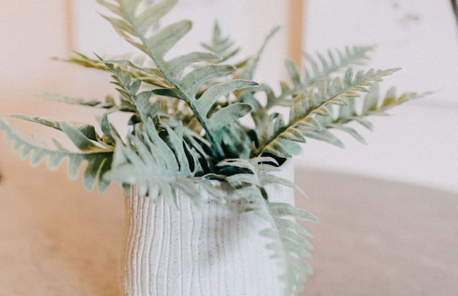 Best House Central Luxury Apartment - Foto 25