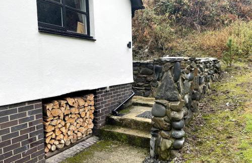 Bear Cottage, Tyn Y Cwm - Foto 21