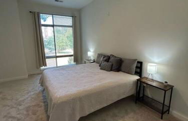1 Bedroom Studio Townhouse in Uptown Charlotte - Foto 10