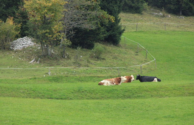 Apartments Arh - Foto 36