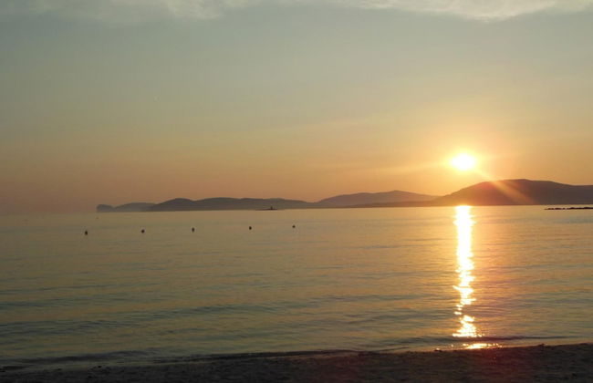 Actinia Accomodation - Photo 52