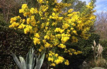 Apartments Vunić - Foto 70