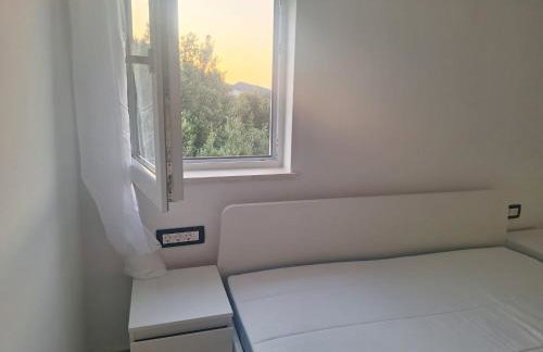 Apartman Alemka - Foto 11