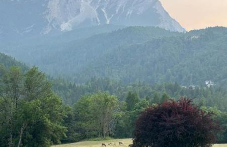 Al Pomer Dolomites Lodges Val di Zoldo - Foto 14