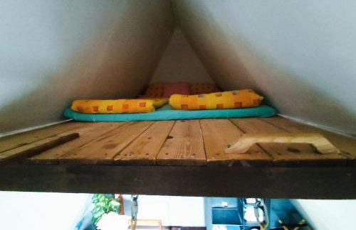 UNDER THE GREEN ROOF - Foto 29