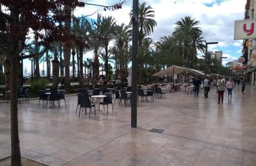 La Estrella de Alicante - Foto 33