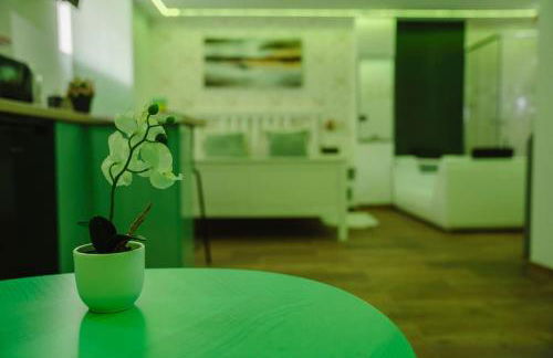 Sierra Love apartamento abierto - Foto 8