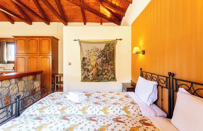 Pleiades Studios - All Season Gems - Foto 25