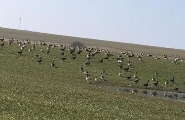 Dycke Haus 6a - Foto 20