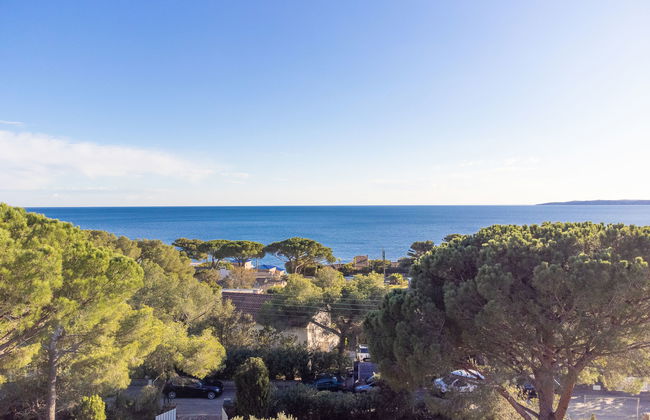 Pigeon Vole - Foto 33